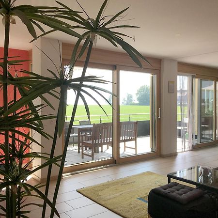 Ferienwohnung Seetraum - Hoch Ueber Dem See, Grosszuegig Mit Grossem Balkon Kressbronn am Bodensee Luaran gambar